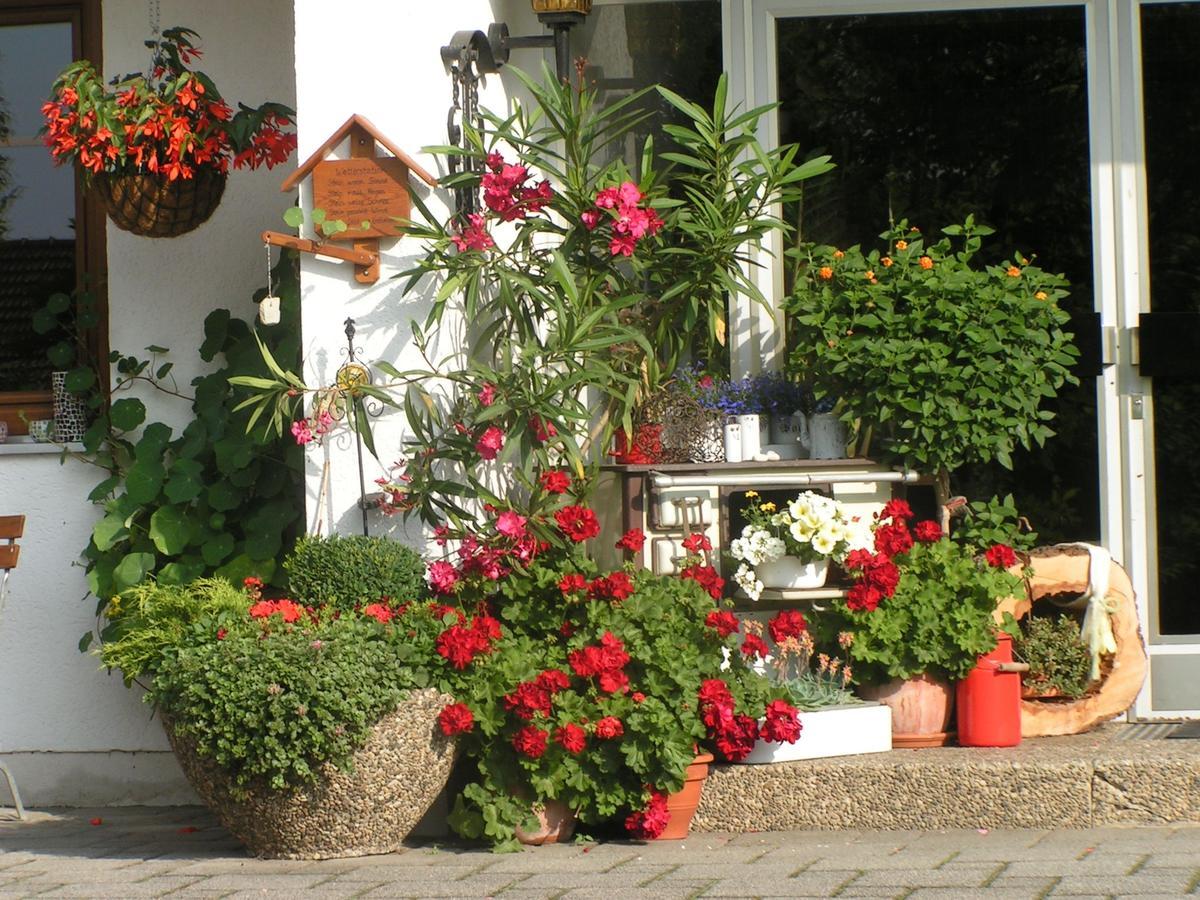 Pension Zum Ebenstein Am Donausteig Untergriesbach Extérieur photo