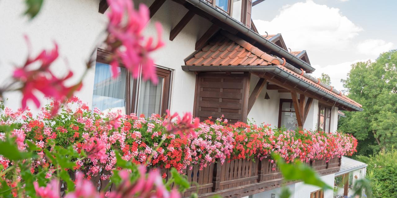 Pension Zum Ebenstein Am Donausteig Untergriesbach Extérieur photo
